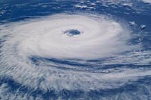 В Южной Каролине ввели режим ЧС из-за приближения урагана «Дориан»