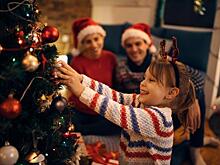 Эколог объяснила, почему лучше покупать живую елку на Новый год