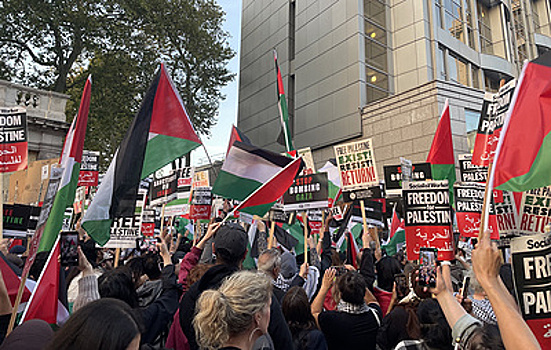 В Лондоне около 2 тыс. человек собрались на акцию в поддержку Палестины