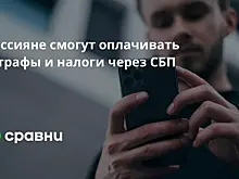 Банки в РФ готовятся запустить сервис платежей от граждан в пользу государства через СБП