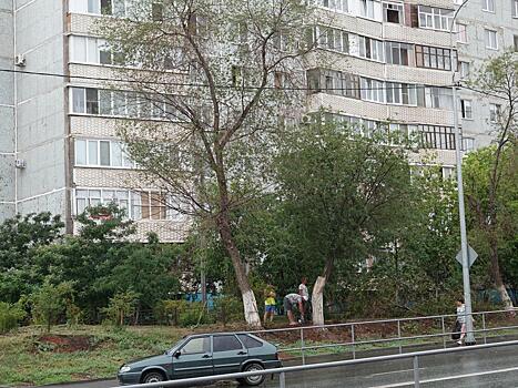 В мэрии Оренбурга прокомментировали вырубку деревьев на Чкалова