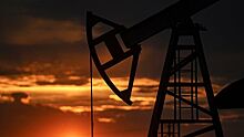 Эксперт заявила о росте неопределенности спроса на нефть в мире