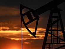 СБУ пресекла нелегальную добычу нефти под Ивано-Франковском