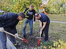 Денис Соболев: На территориях домов высадят 600 деревьев