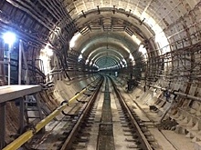 Лебедь парализовал работу лондонского метро