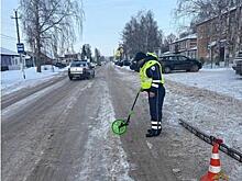 В Кинель-Черкасском районе под колеса Renault попала 88-летняя женщина