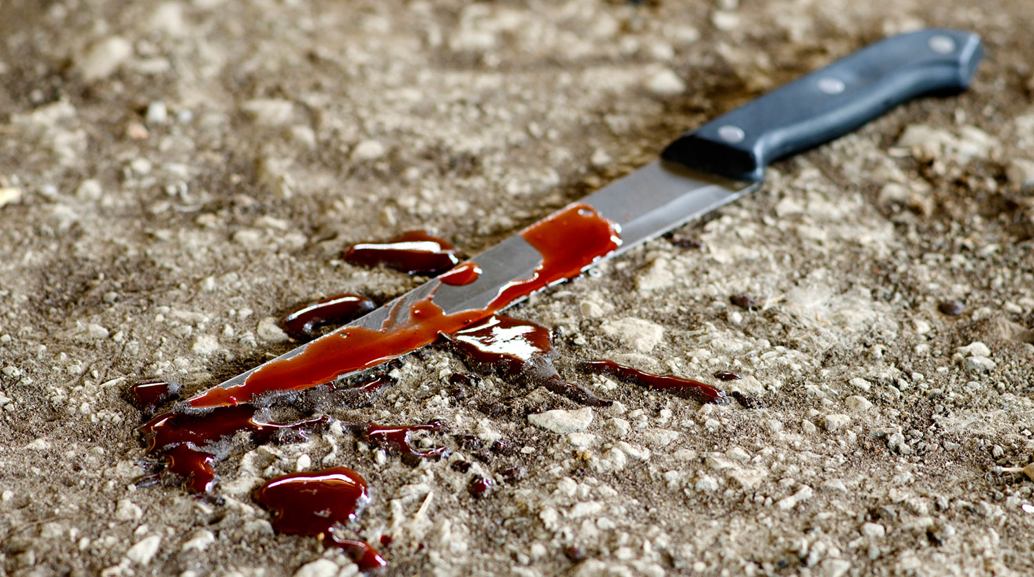 Shot: в Ингушетии школьник ударил старшую сестру ножом в сердце