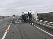 Три человека погибли в ДТП на трассе в Курганской области