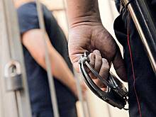 Три скриншота обошлись россиянину в 14 лет колонии