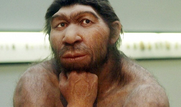 Были ли неандертальцы умнее человека разумного - Рамблер/новости