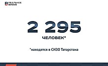 В СИЗО Татарстана находятся 2 295 человек — это много или мало?