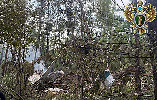 Тела погибших в крушении Ан-24 в Амурской области извлекли из-под обломков