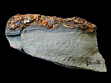 Раскрыта тайна янтарного слоя на морском дне возрастом 115 миллионов лет