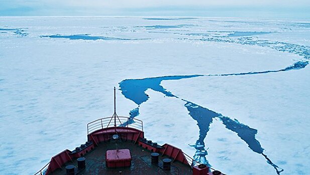 Замглавы МИД России и посол Дании обсудили взаимодействие в Арктике