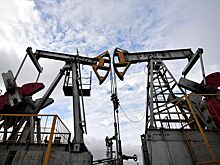 Аналитик рассказала, какой будет цена на нефть в начале марта