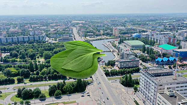В Калининграде начался ремонт на первом эстакадном мосту