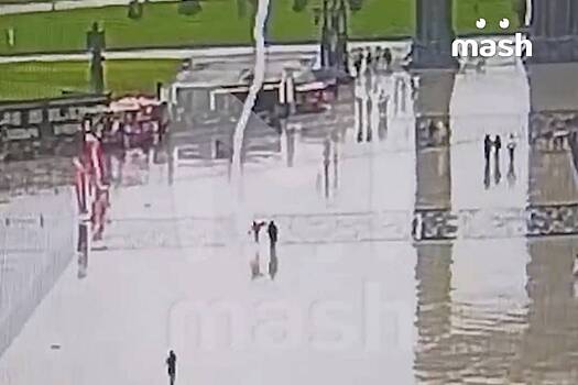 Удар молнии по посетителям парка «Патриот» попал на видео