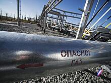 России спрогнозировали рост поставок газа за границу