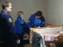 Главврача роддома уволили после похищения младенца