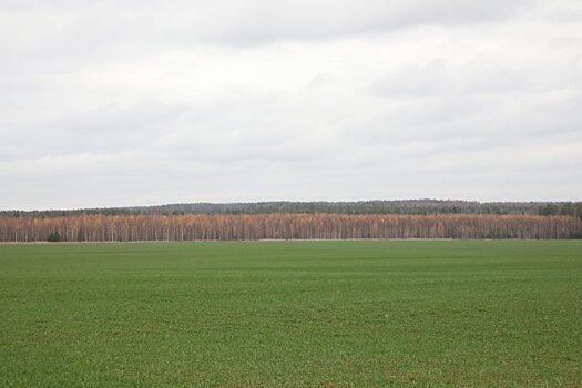Новая 15-километровая экотропа появится в Нижегородской области