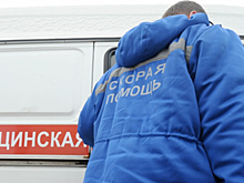 В Новосибирске в аварии с маршруткой и грузовиком пострадали 5 человек