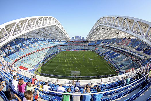 Красноярские ученые объяснили, как избежать давки на стадионах