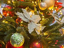 «Антивандальная» главная елка Краснодара проиграла местным хулиганам