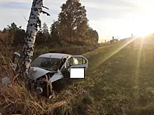На трассе М5 в Самарской области водитель Renault въехал в бетонные блоки и березу