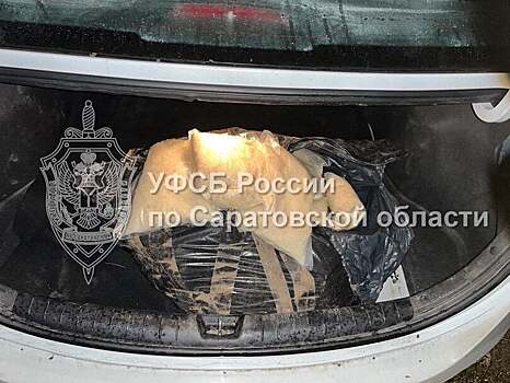 Московский дилер приехал в Саратовскую область за 34 килограммами наркотиков. Вынесен приговор
