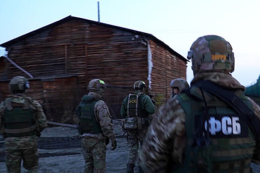 ФСБ заявила о задержании севастопольца, готовившего теракт на складке с топливом