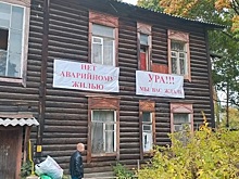 Переживут ли зиму обитатели кратовских трущоб?