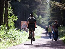 В Заельцовском парке Новосибирска оборудуют экотропы и велодорожки