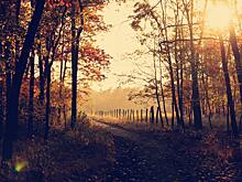 Зарок на Параскеву: что нельзя делать 9 ноября