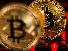 Стоимость биткоина упала до минимума за семь месяцев