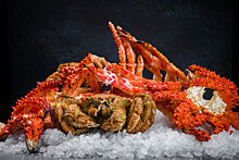 Ресторан ATLANTICA seafood открывается на Кутузовском проспекте