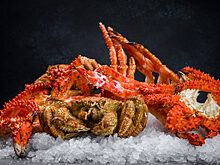 Ресторан ATLANTICA seafood открывается на Кутузовском проспекте
