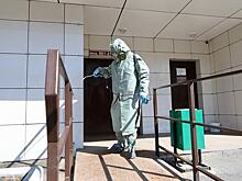 Крупные штрафы назначены приморским управляющим копаниям за некачественную санобработку подъездов