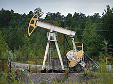 Донской рассказал об истощении запасов нефти через 60 лет