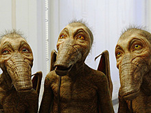 Люк и его отцы