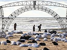 В Крыму опровергли информацию о пятне мазута у берега Ялты