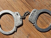 Альфа-банк предупредил об активизации мошенников на Avito в майские праздники