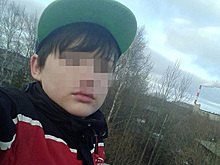 Защитившего мать подростка наградили посмертно