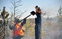 Ученые предложили тушить лесные пожары каплями воды