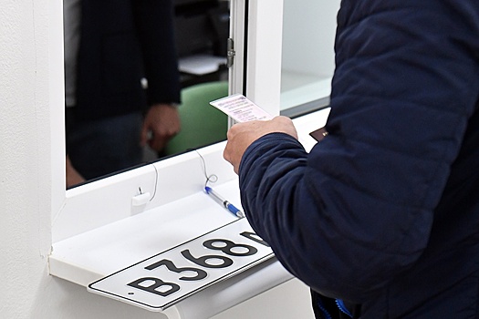 Вице-президент НАС Шапарин объяснил "РГ" смысл идеи ввести новые цвета госномера