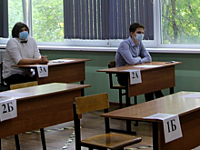 В красногорских школах прошел итоговый экзамен по русскому языку