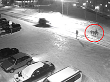 Мать с тремя детьми угодила под колеса Peugeot в Линево