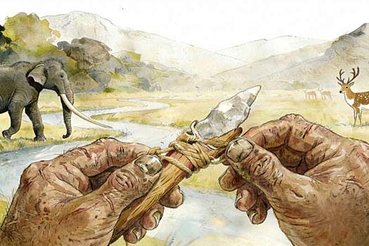 Раскопаны инструменты возрастом 160 тысяч лет, созданные не человеком