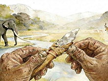 Раскопаны инструменты возрастом 160 тысяч лет, созданные не человеком