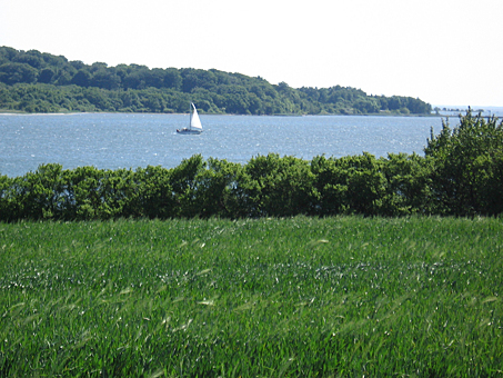 Заглавное изображение Остров Вильм