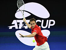 Сборная Польши стала первым полуфиналистом Кубка ATP